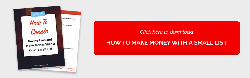 How To Create Raving Fans And Make Money With A Small Email List-Guide-1